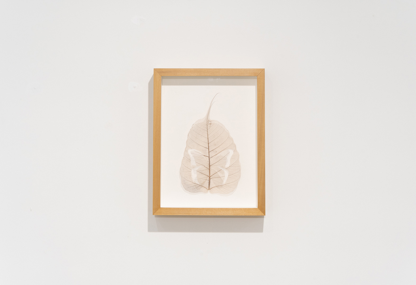 Let me count the ways_Gianluca Malgeri