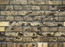 Gianluca Malgeri | work_Ackerstraße