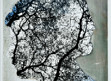 Gianluca Malgeri | work_Metamorphosis
